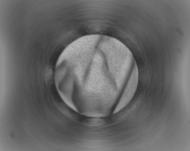 X0000113740087200910141013