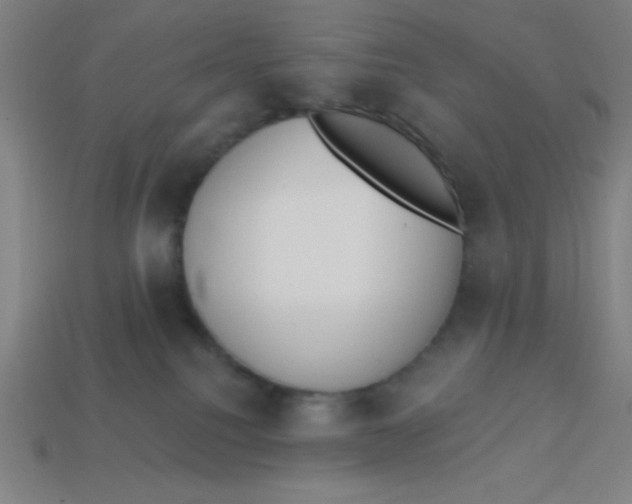 X0000113740088200910141013