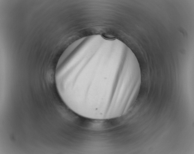 X0000113740090200910141013