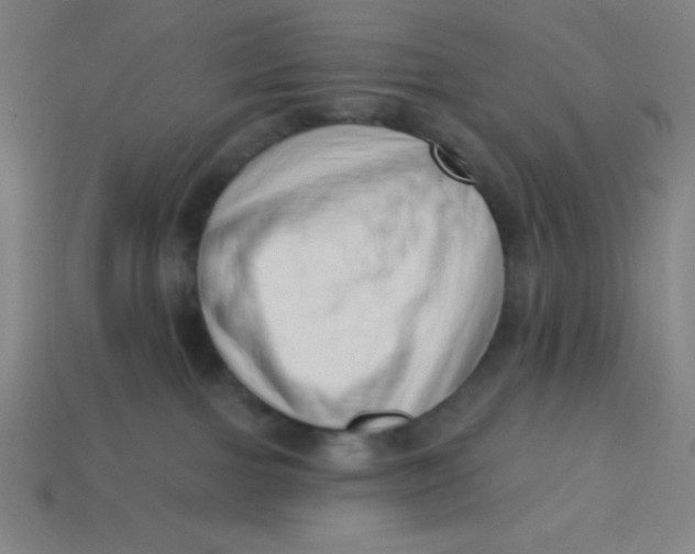 X0000113740091200910141013