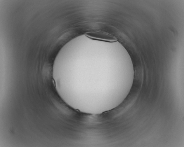 X0000113740092200910141013