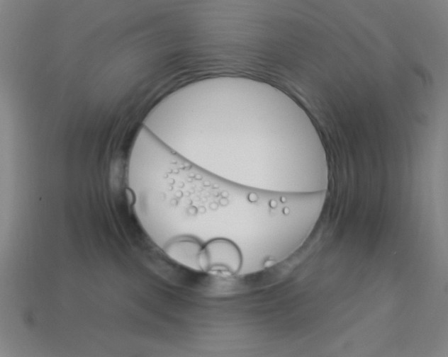 X0000113740093200910141013