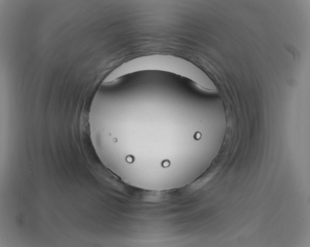 X0000113740096200910141014