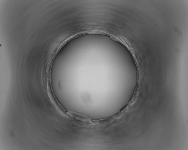 X0000113740097200910141013