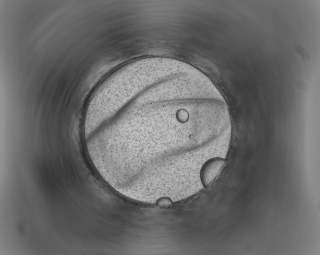 X0000113740098200910141013