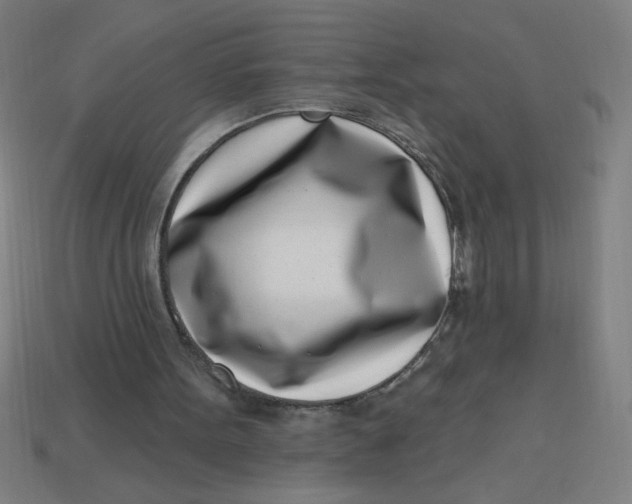 X0000113740099200910141013