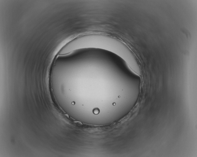 X0000113740100200910141013