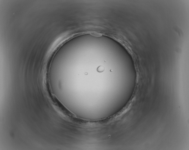 X0000113740101200910141013