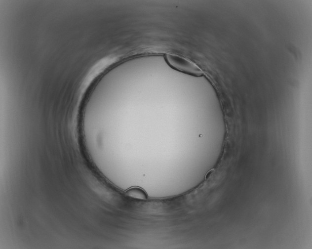 X0000113740104200910141013