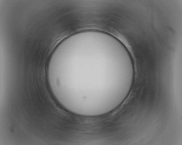 X0000113740105200910141013