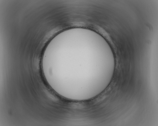 X0000113740106200910141013