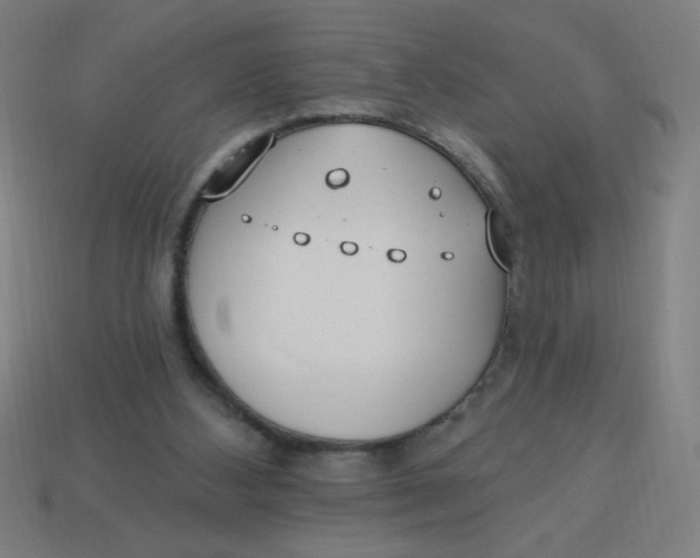 X0000113740108200910141013