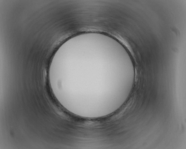 X0000113740109200910141013