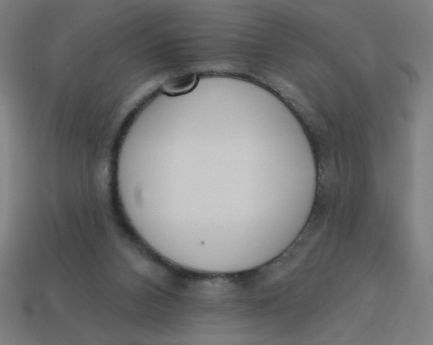 X0000113740112200910141013