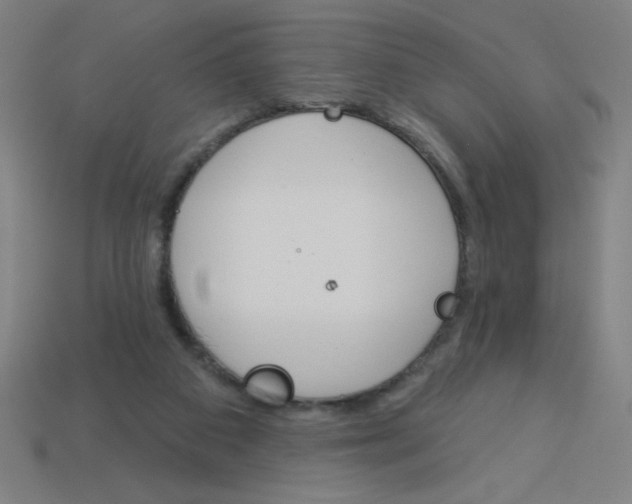 X0000113740113200910141013