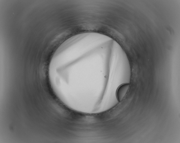 X0000113740114200910141013