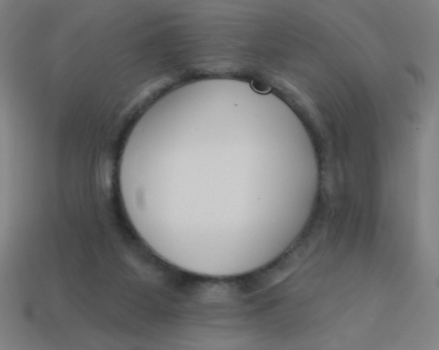 X0000113740115200910141013