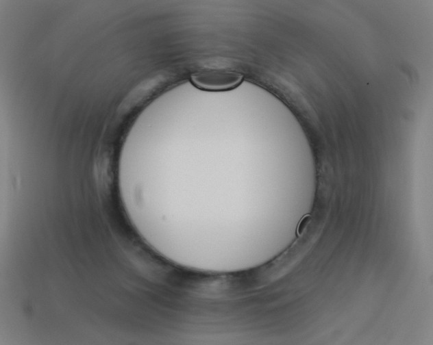 X0000113740116200910141012