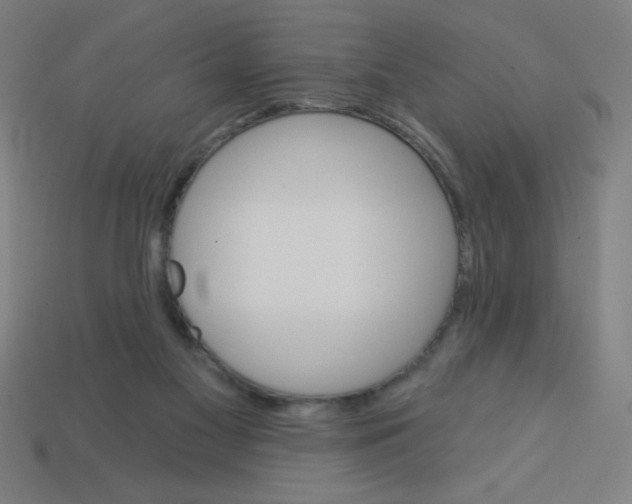 X0000113740117200910141012