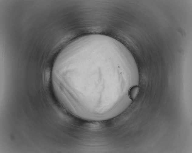 X0000113740118200910141012