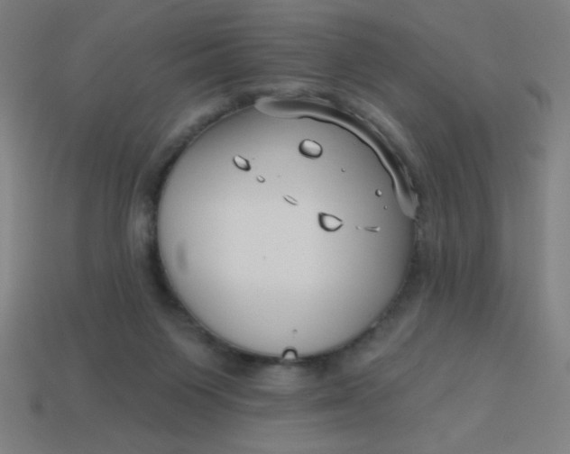 X0000113740119200910141012