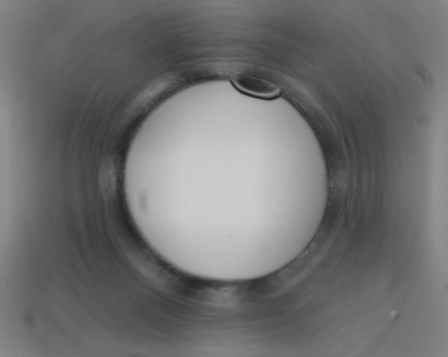 X0000113740120200910141012