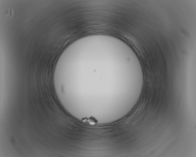 X0000113740121200910141012