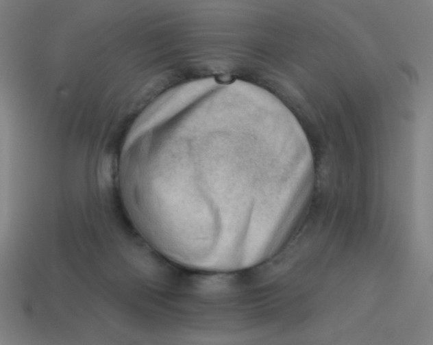 X0000113740122200910141012