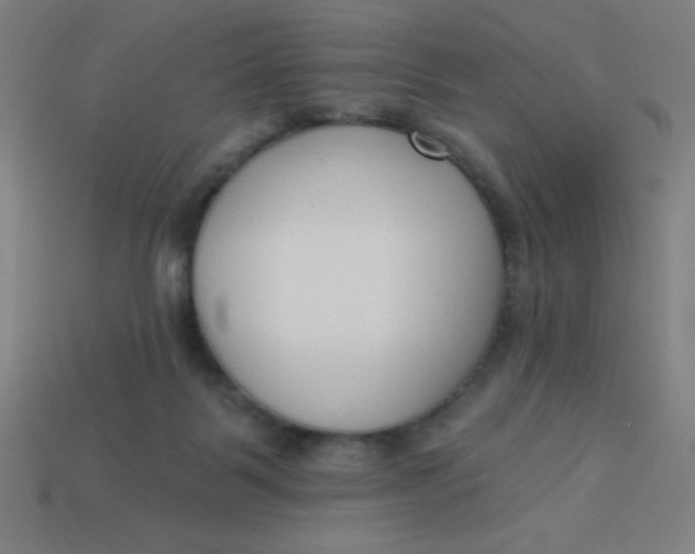 X0000113740123200910141012