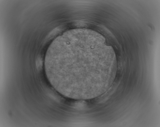 X0000113740124200910141012