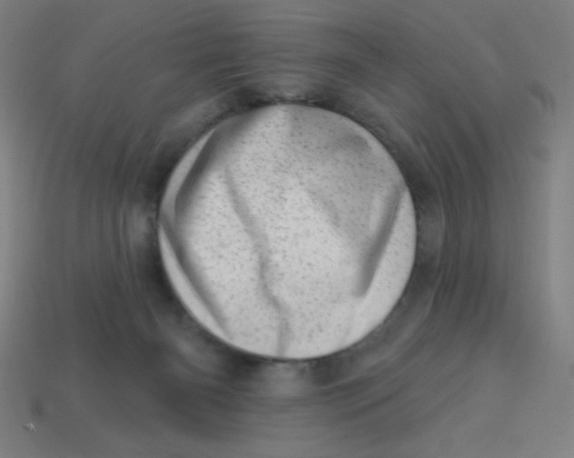 X0000113740126200910141012