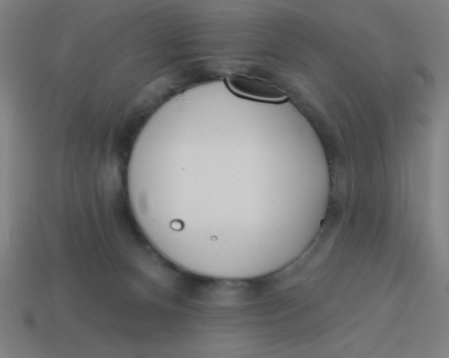 X0000113740128200910141012