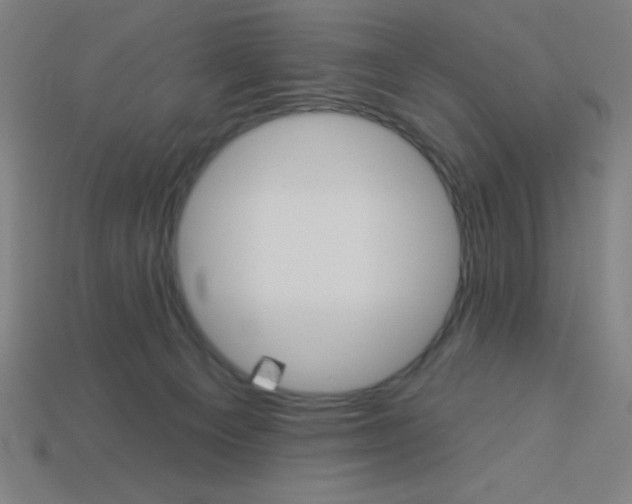 X0000113740129200910141012