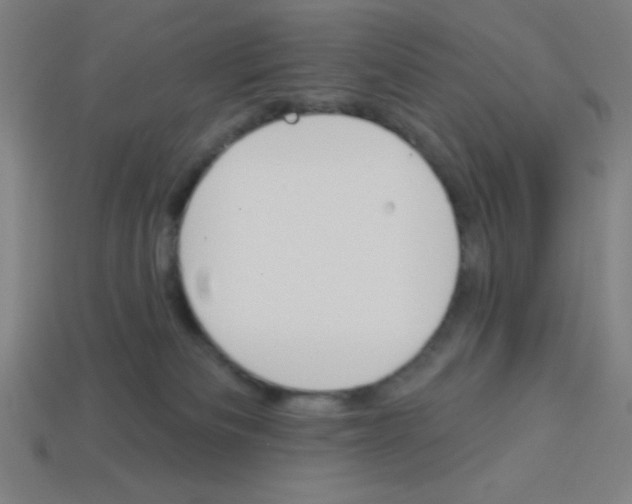 X0000113740133200910141012