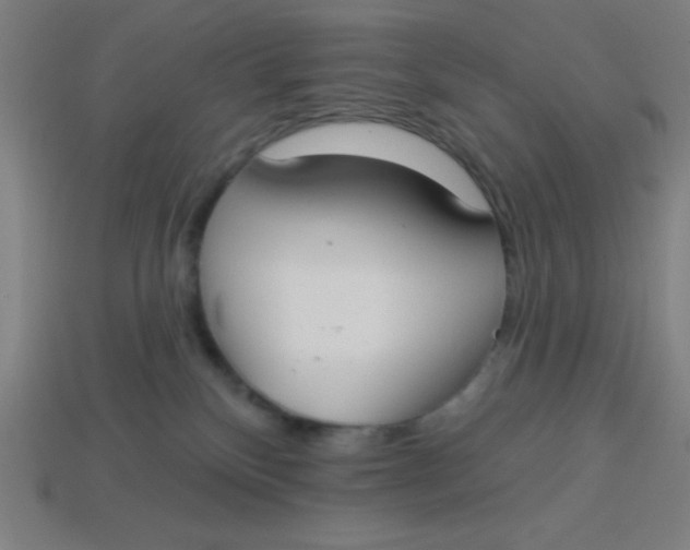 X0000113740136200910141012