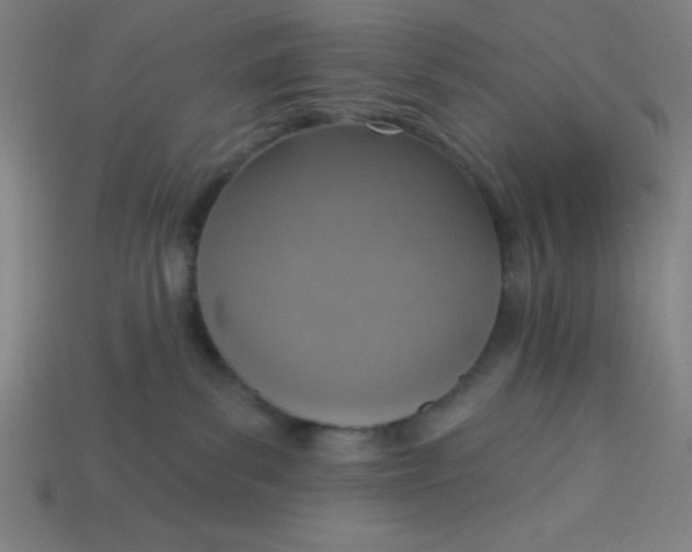 X0000113740139200910141012