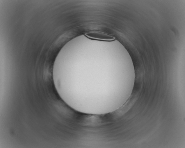 X0000113740140200910141012