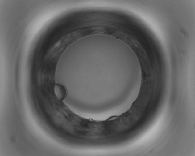 X0000113740143200910141012