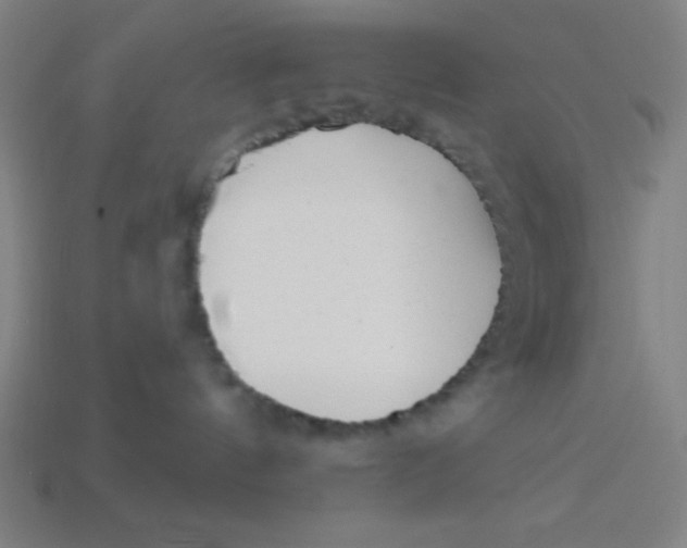 X0000113740144200910141012