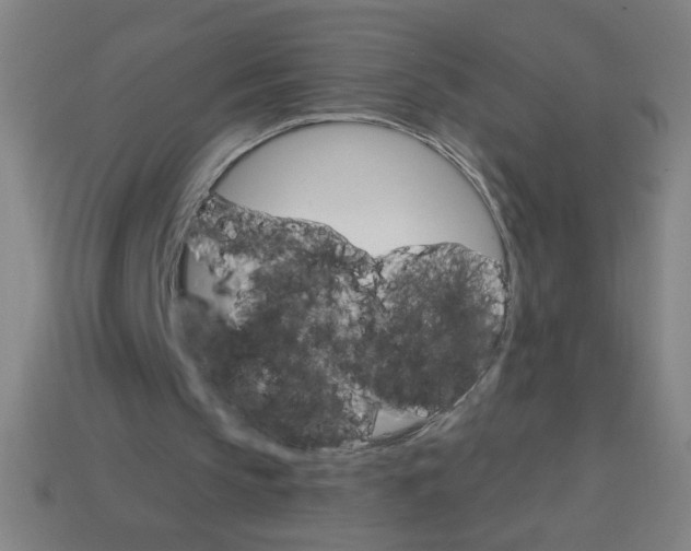 X0000113740145200910141011