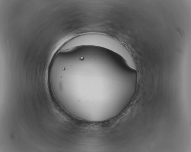 X0000113740148200910141011