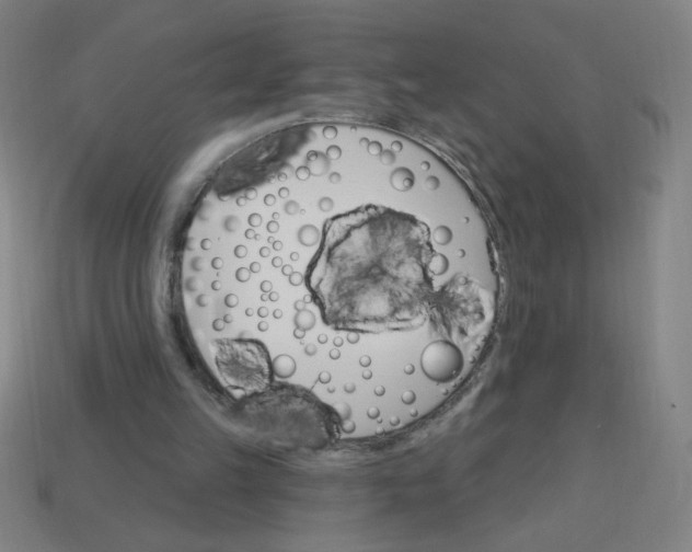 X0000113740149200910141011