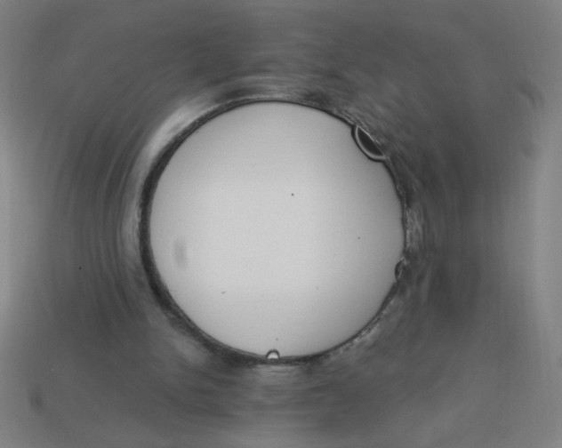 X0000113740150200910141011