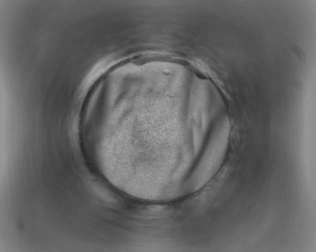 X0000113740151200910141011