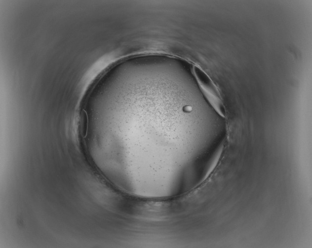 X0000113740152200910141011