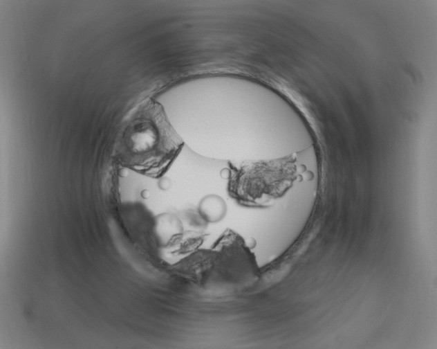 X0000113740153200910141011