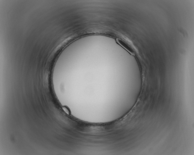 X0000113740154200910141011