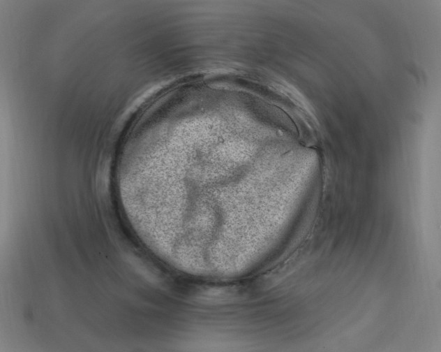 X0000113740155200910141011