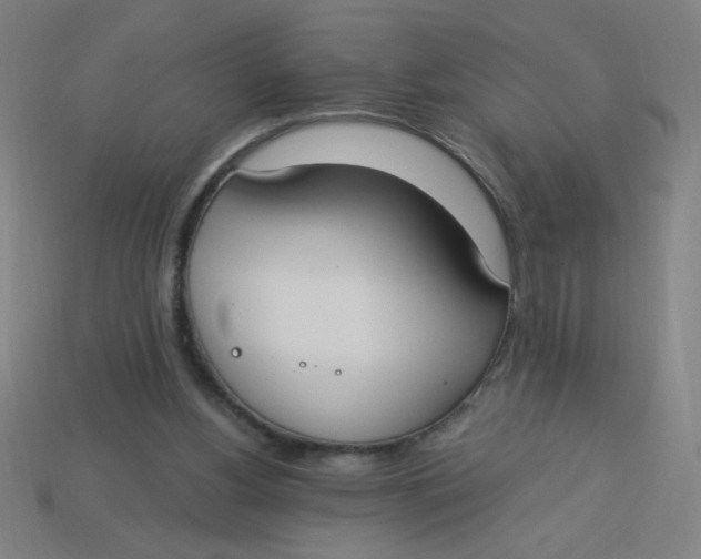 X0000113740156200910141011