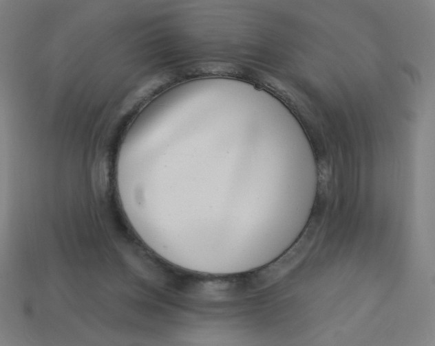 X0000113740158200910141011